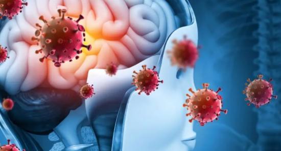 Ministry of Health Identifies Surge in Meningitis
